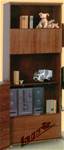 22BIBLIOTHIKIcopy
