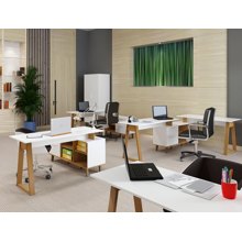 AIDONITSA/AIDONITSA-322991-14589514
