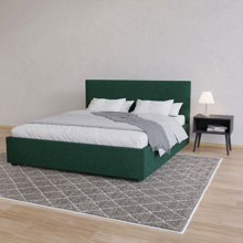 AIDONITSA/AIDONITSA-528008