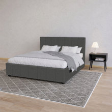AIDONITSA/AIDONITSA-542600