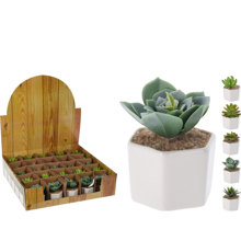 ARTELIBRE/AL-380542.jpg