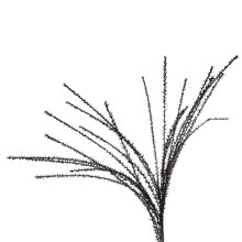 ARTELIBRE/AL-460528.jpg