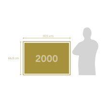 ASCOMPANY/AS-362368-14755904