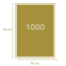ASCOMPANY/AS-362408-14987092