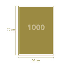 ASCOMPANY/AS-460878-14731000