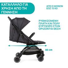 ASCOMPANY/AS-494162-14995932