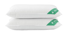 BH-194098-2020-04-Aloe-Vera