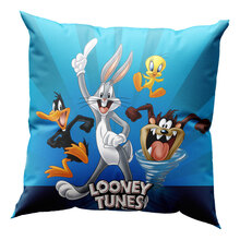 BH-285096-2022-09-6188_pillow