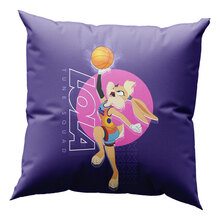 BH-285126-2022-09-6193_pillow