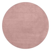 BH-473594-2024-10-9645_round.jpg