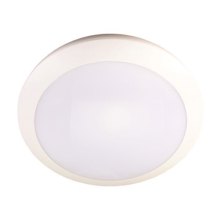 EUROLAMP/EL-187503