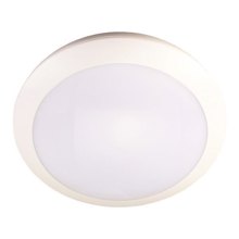 EUROLAMP/EL-187504