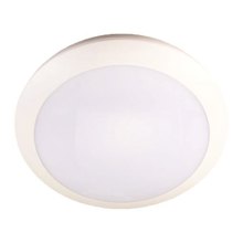 EUROLAMP/EL-187507