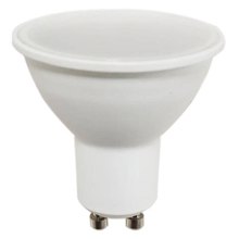 EUROLAMP/EL-189537