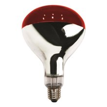 EUROLAMP/EL-189734