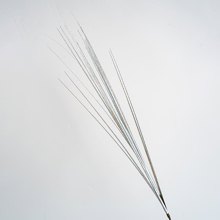 EUROLAMP/EL-279934