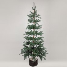 EUROLAMP/EL-409377