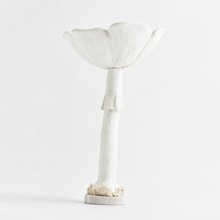 EUROLAMP/EL-409665