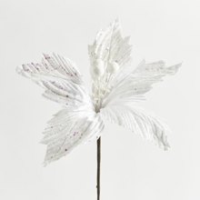EUROLAMP/EL-409966