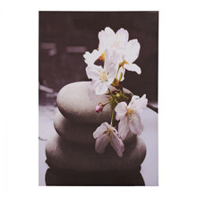 FB-198536-pinakas-kambas-white-orchid-hm715411-60x.jpg