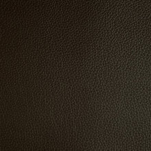 FYLIANA/FYL-145553-14615725