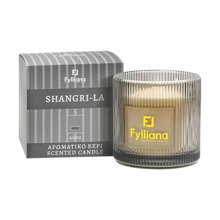 FYLIANA/FYL-525338.jpg