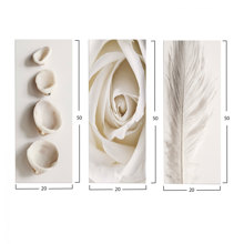 HOMEMARKT/HM-178061-14560580
