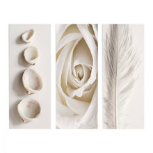 HOMEMARKT/HM-178061