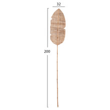 HOMEMARKT/HM-401942-14637826