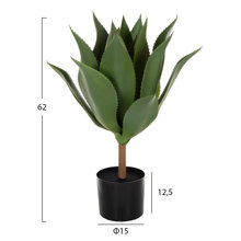 HOMEMARKT/HM-402820-14641446