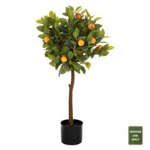 HOMEMARKT/HM-402827.jpg