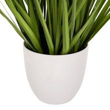 HOMEMARKT/HM-402830-14638589