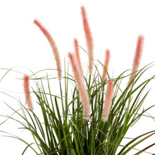 HOMEMARKT/HM-402830-14638622