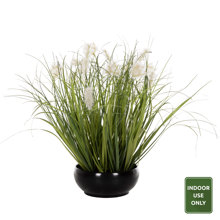 HOMEMARKT/HM-402891