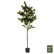 HOMEMARKT/HM-404245