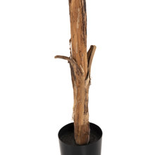 HOMEMARKT/HM-404256-14641616