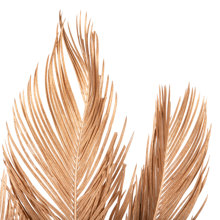HOMEMARKT/HM-405465-14644293