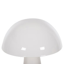 HOMEMARKT/HM-446655-14698528