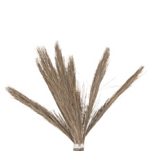 HOMEMARKT/HM-450418-14706187
