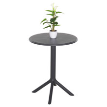 HOMEMARKT/HM-469781