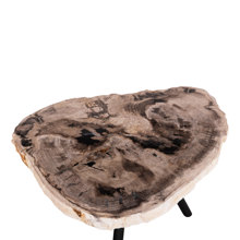 HOMEMARKT/HM-488259-14788582