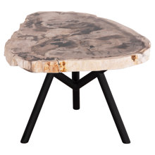 HOMEMARKT/HM-488259-14788591