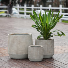 HOMEMARKT/HM-503353-14821817