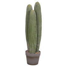 HOMEMARKT/HM-510890.jpg