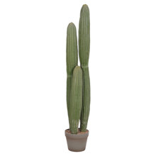 HOMEMARKT/HM-510891.jpg