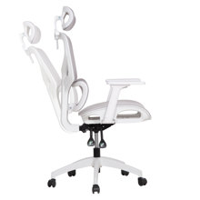 HOMEMARKT/HM-543708-14982783