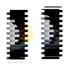 LOGIGRAF/LGF-384507-14583168