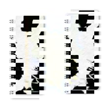 LOGIGRAF/LGF-384535-14792037