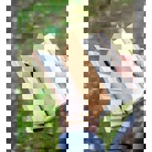 LOGIGRAF/LGF-385173-14837193