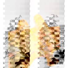 LOGIGRAF/LGF-411960-14808088